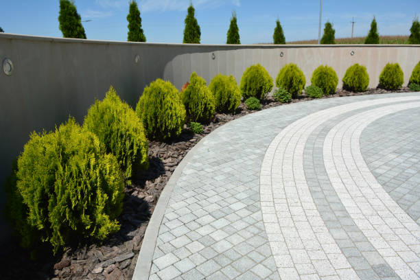 Reasons to Select Us for Your Driveway Paving Requirements in Texarkana, AR